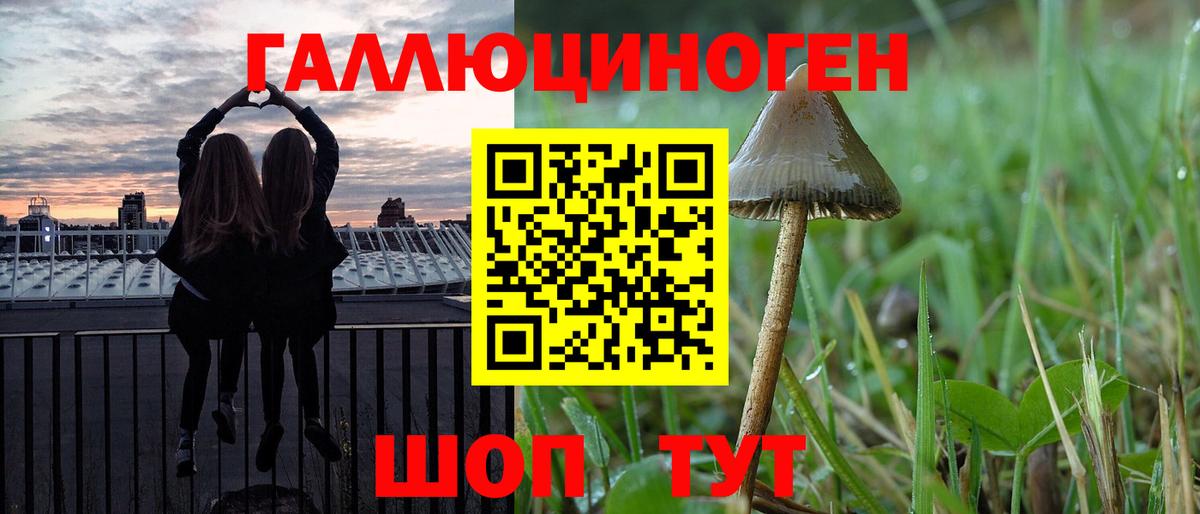 Саранск  Псилоцибиновые грибы Psilocybe  Псилоцибиновые грибы мицелий  Вход с VPN 